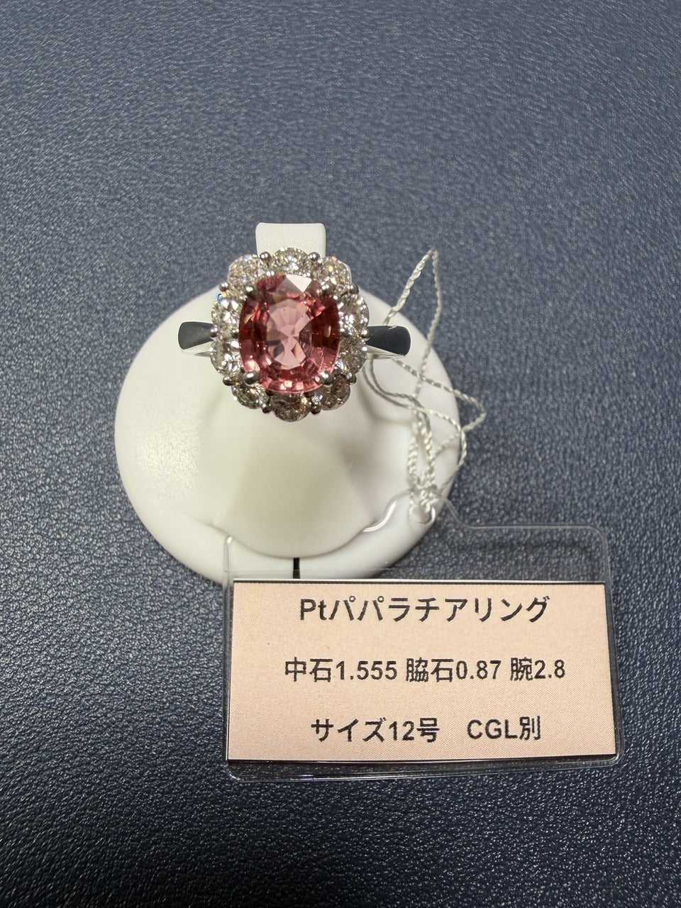 A0433 Ptパパラチアリング